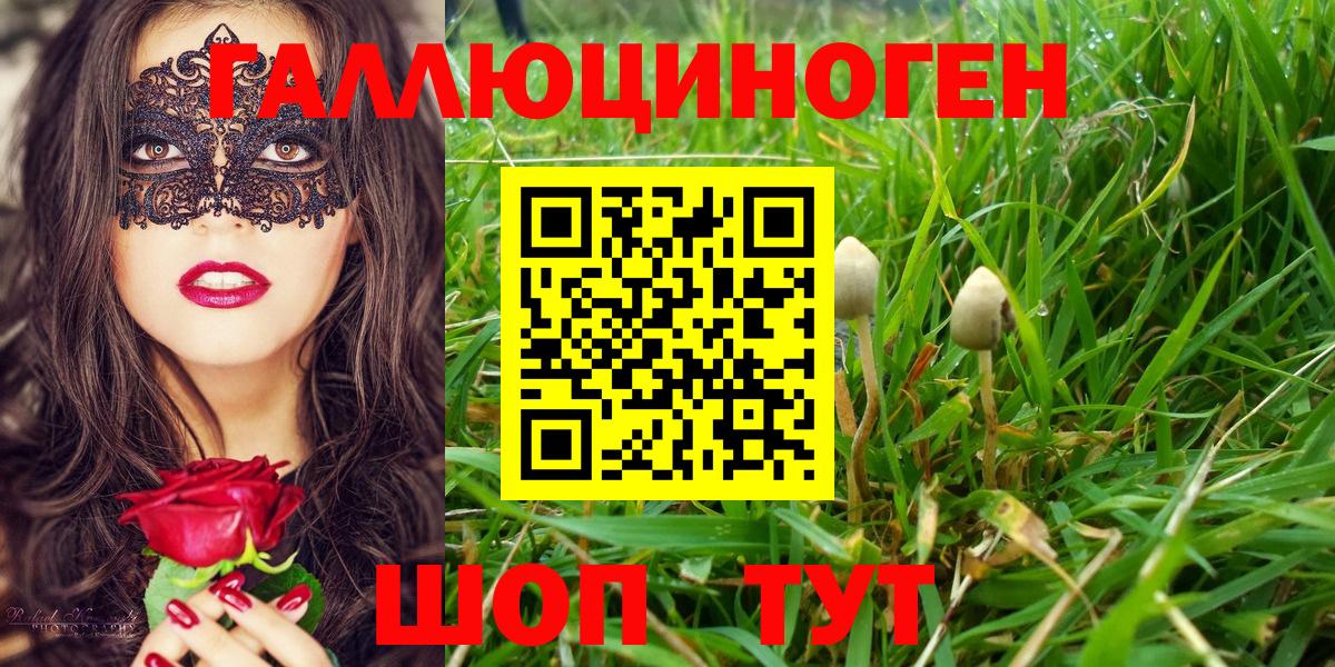 Чебоксары  Галлюциногенные грибы Psilocybine cubensis  Вход с VPN  Псилоцибиновые грибы MAGIC MUSHROOMS 
